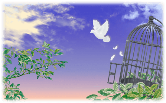 朝焼けの中、鳥かごから白いハトが空に向かって飛び立つ。