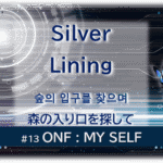 暗闇の中にデジタル光。青い蝶が５匹飛んでいる。「Silver Lining森の入り口を探して숲의 입구를 찾으며＃１３ONF：MY SELF」 の文字入り